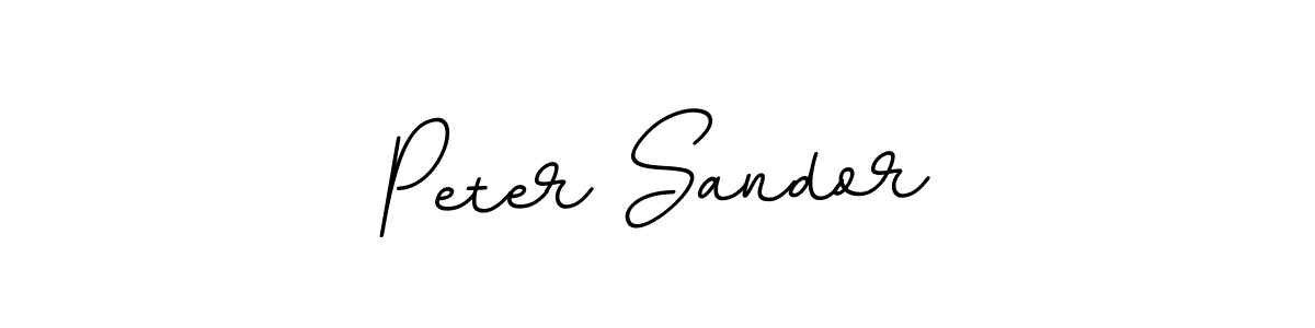 How to make Peter Sandor signature? BallpointsItalic-DORy9 is a professional autograph style. Create handwritten signature for Peter Sandor name. Peter Sandor signature style 11 images and pictures png