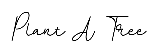 Create a beautiful signature design for name Plant A Tree. With this signature (BallpointsItalic-DORy9) fonts, you can make a handwritten signature for free. Plant A Tree signature style 11 images and pictures png