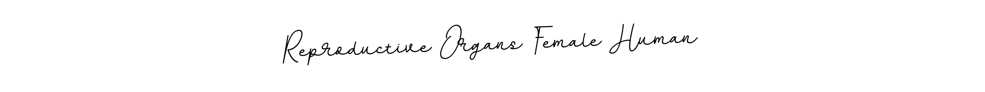 Use a signature maker to create a handwritten signature online. With this signature software, you can design (BallpointsItalic-DORy9) your own signature for name Reproductive Organs Female Human. Reproductive Organs Female Human signature style 11 images and pictures png