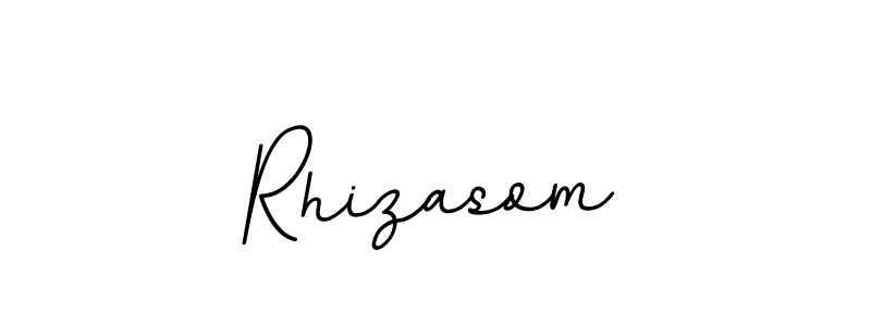 Rhizasom stylish signature style. Best Handwritten Sign (BallpointsItalic-DORy9) for my name. Handwritten Signature Collection Ideas for my name Rhizasom. Rhizasom signature style 11 images and pictures png