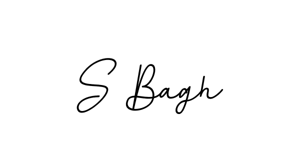 Best and Professional Signature Style for S Bagh. BallpointsItalic-DORy9 Best Signature Style Collection. S Bagh signature style 11 images and pictures png