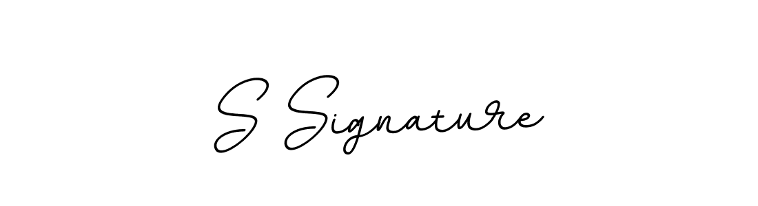 Make a beautiful signature design for name S Signature. With this signature (BallpointsItalic-DORy9) style, you can create a handwritten signature for free. S Signature signature style 11 images and pictures png