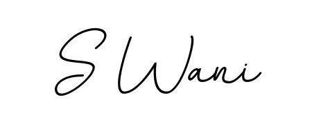 Make your name S Wani memorable on every contract using BallpointsItalic-DORy9 autograph style. Instant transparent background export available. S Wani signature style 11 images and pictures png