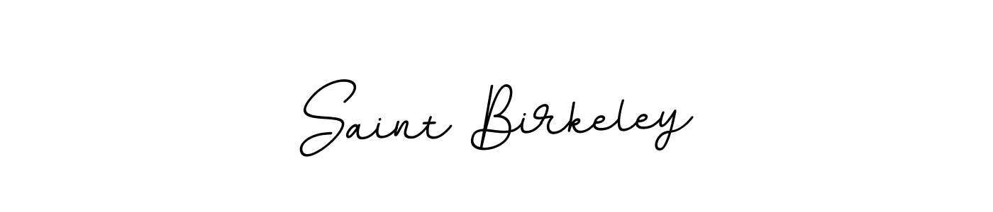 Design your own signature with our free online signature maker. With this signature software, you can create a handwritten (BallpointsItalic-DORy9) signature for name Saint Birkeley. Saint Birkeley signature style 11 images and pictures png