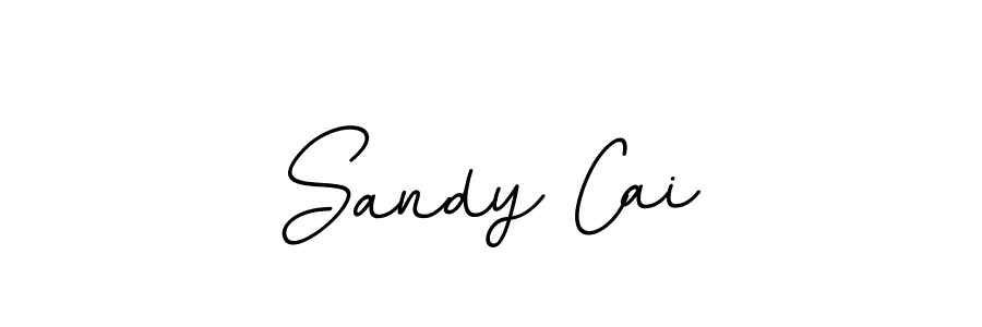 Create a beautiful signature design for name Sandy Cai. With this signature (BallpointsItalic-DORy9) fonts, you can make a handwritten signature for free. Sandy Cai signature style 11 images and pictures png