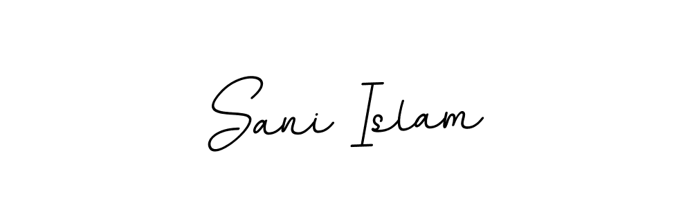 Create a beautiful signature design for name Sani Islam. With this signature (BallpointsItalic-DORy9) fonts, you can make a handwritten signature for free. Sani Islam signature style 11 images and pictures png