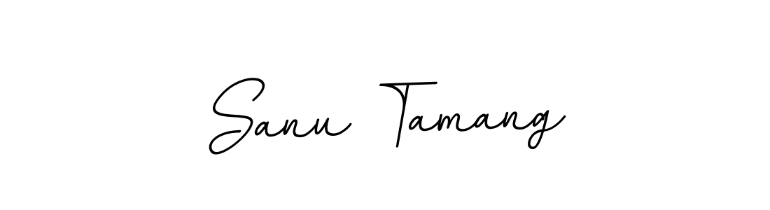 Make a beautiful signature design for name Sanu Tamang. With this signature (BallpointsItalic-DORy9) style, you can create a handwritten signature for free. Sanu Tamang signature style 11 images and pictures png