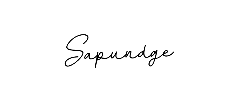 Also You can easily find your signature by using the search form. We will create Sapundge name handwritten signature images for you free of cost using BallpointsItalic-DORy9 sign style. Sapundge signature style 11 images and pictures png