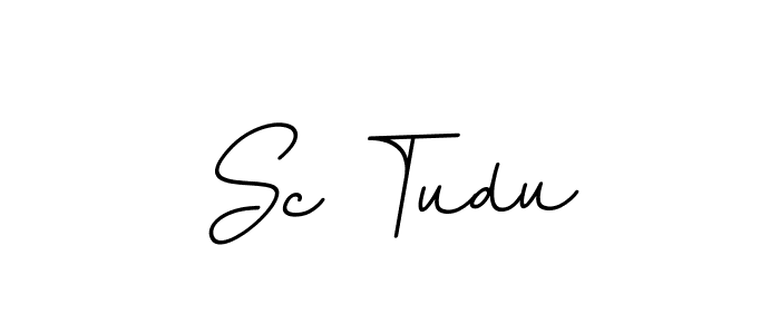 Create a beautiful signature design for name Sc Tudu. With this signature (BallpointsItalic-DORy9) fonts, you can make a handwritten signature for free. Sc Tudu signature style 11 images and pictures png