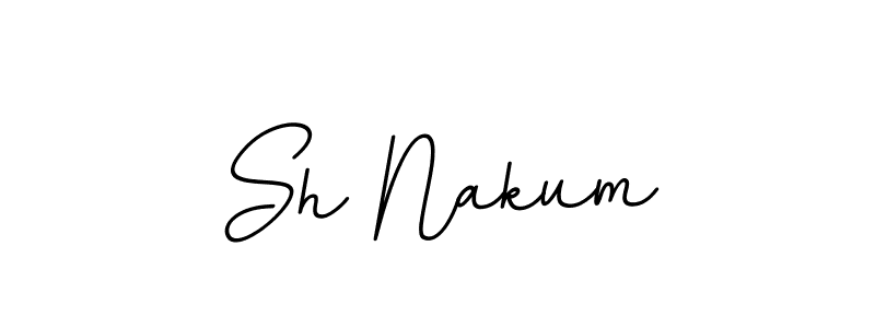 Sh Nakum stylish signature style. Best Handwritten Sign (BallpointsItalic-DORy9) for my name. Handwritten Signature Collection Ideas for my name Sh Nakum. Sh Nakum signature style 11 images and pictures png