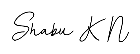 Make a beautiful signature design for name Shabu K N. With this signature (BallpointsItalic-DORy9) style, you can create a handwritten signature for free. Shabu K N signature style 11 images and pictures png