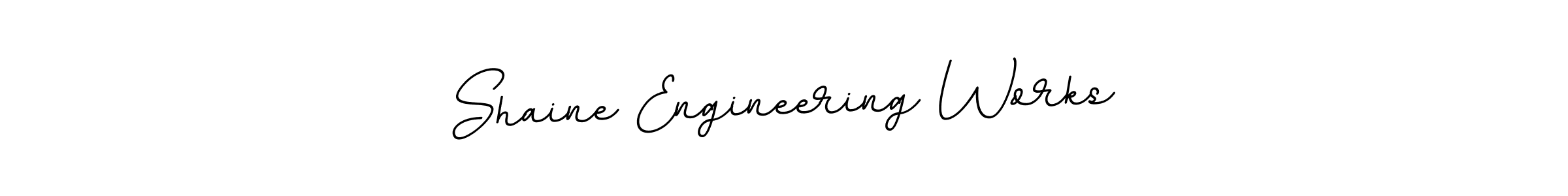 Create a beautiful signature design for name Shaine Engineering Works. With this signature (BallpointsItalic-DORy9) fonts, you can make a handwritten signature for free. Shaine Engineering Works signature style 11 images and pictures png