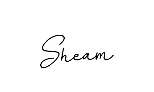 Create a beautiful signature design for name Sheam. With this signature (BallpointsItalic-DORy9) fonts, you can make a handwritten signature for free. Sheam signature style 11 images and pictures png