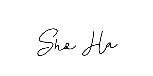 Sho Ha stylish signature style. Best Handwritten Sign (BallpointsItalic-DORy9) for my name. Handwritten Signature Collection Ideas for my name Sho Ha. Sho Ha signature style 11 images and pictures png