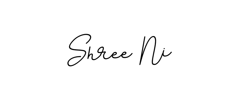 Design your own signature with our free online signature maker. With this signature software, you can create a handwritten (BallpointsItalic-DORy9) signature for name Shree Ni. Shree Ni signature style 11 images and pictures png