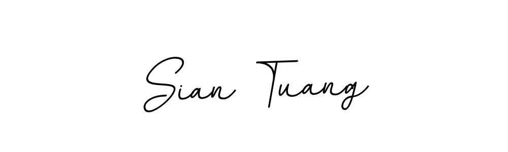 if you are searching for the best signature style for your name Sian Tuang. so please give up your signature search. here we have designed multiple signature styles  using BallpointsItalic-DORy9. Sian Tuang signature style 11 images and pictures png