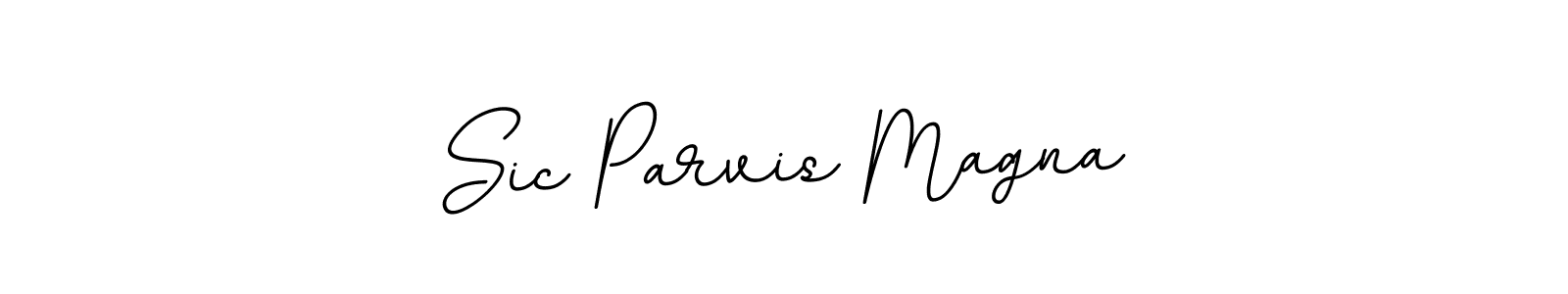 Sic Parvis Magna stylish signature style. Best Handwritten Sign (BallpointsItalic-DORy9) for my name. Handwritten Signature Collection Ideas for my name Sic Parvis Magna. Sic Parvis Magna signature style 11 images and pictures png