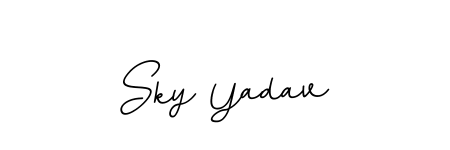 Sky Yadav stylish signature style. Best Handwritten Sign (BallpointsItalic-DORy9) for my name. Handwritten Signature Collection Ideas for my name Sky Yadav. Sky Yadav signature style 11 images and pictures png