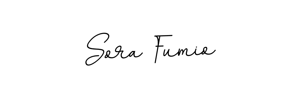 Make a beautiful signature design for name Sora Fumio. Use this online signature maker to create a handwritten signature for free. Sora Fumio signature style 11 images and pictures png