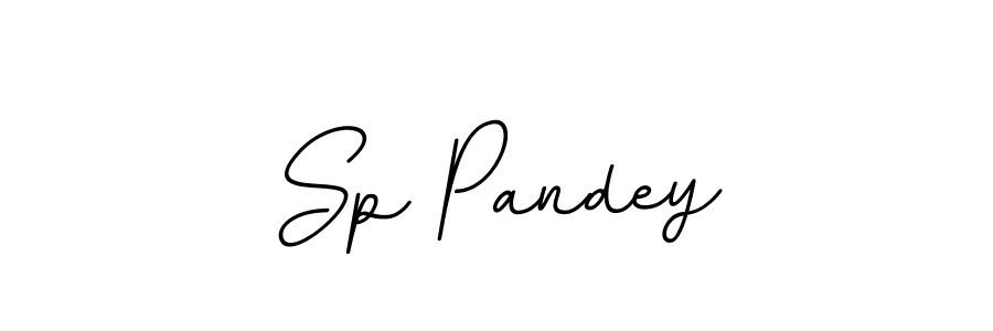 How to make Sp Pandey signature? BallpointsItalic-DORy9 is a professional autograph style. Create handwritten signature for Sp Pandey name. Sp Pandey signature style 11 images and pictures png