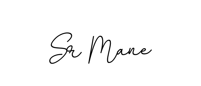 Create a beautiful signature design for name Sr Mane. With this signature (BallpointsItalic-DORy9) fonts, you can make a handwritten signature for free. Sr Mane signature style 11 images and pictures png