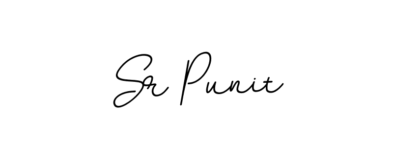 Make a beautiful signature design for name Sr Punit. With this signature (BallpointsItalic-DORy9) style, you can create a handwritten signature for free. Sr Punit signature style 11 images and pictures png
