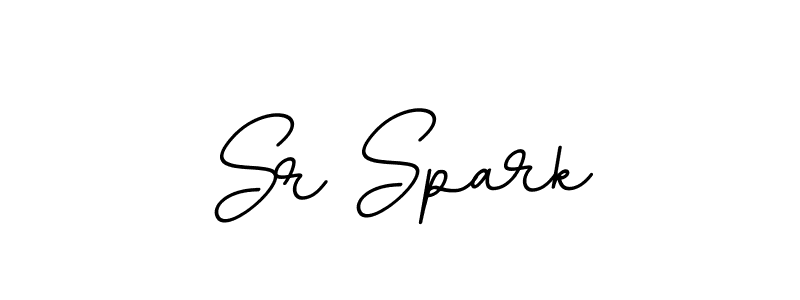 Create a beautiful signature design for name Sr Spark. With this signature (BallpointsItalic-DORy9) fonts, you can make a handwritten signature for free. Sr Spark signature style 11 images and pictures png