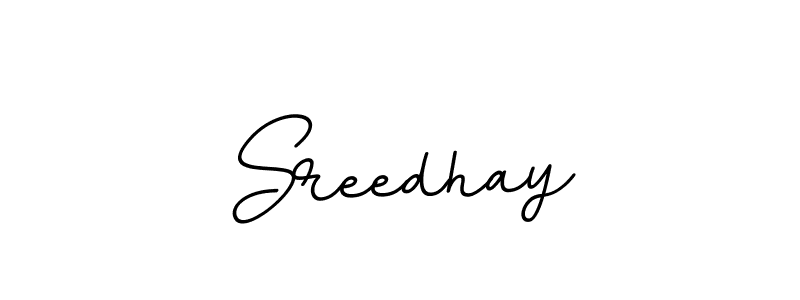 Create a beautiful signature design for name Sreedhay. With this signature (BallpointsItalic-DORy9) fonts, you can make a handwritten signature for free. Sreedhay signature style 11 images and pictures png