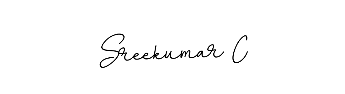 Create a beautiful signature design for name Sreekumar C. With this signature (BallpointsItalic-DORy9) fonts, you can make a handwritten signature for free. Sreekumar C signature style 11 images and pictures png