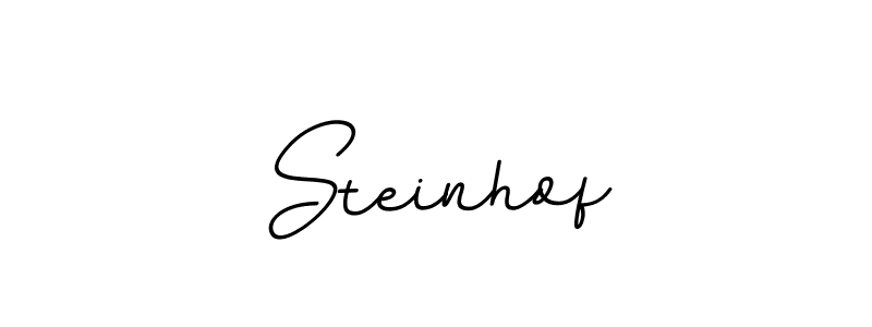 Also we have Steinhof name is the best signature style. Create professional handwritten signature collection using BallpointsItalic-DORy9 autograph style. Steinhof signature style 11 images and pictures png