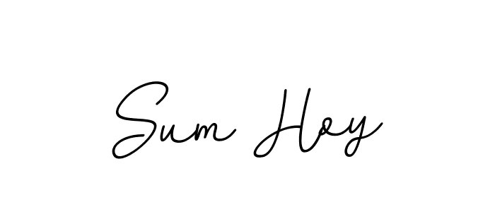 How to make Sum Hoy signature? BallpointsItalic-DORy9 is a professional autograph style. Create handwritten signature for Sum Hoy name. Sum Hoy signature style 11 images and pictures png