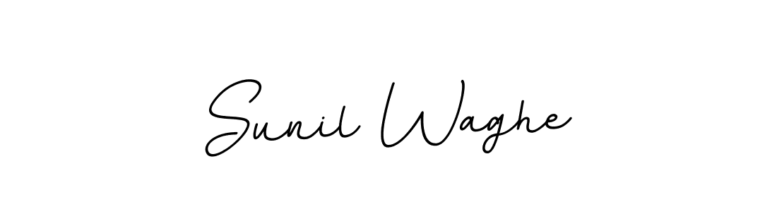 BallpointsItalic-DORy9 is a professional signature style that is perfect for those who want to add a touch of class to their signature. It is also a great choice for those who want to make their signature more unique. Get Sunil Waghe name to fancy signature for free. Sunil Waghe signature style 11 images and pictures png