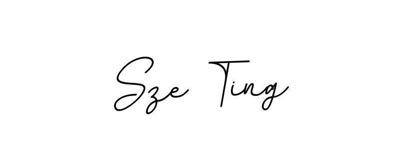 Also we have Sze Ting name is the best signature style. Create professional handwritten signature collection using BallpointsItalic-DORy9 autograph style. Sze Ting signature style 11 images and pictures png