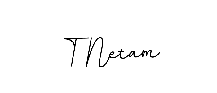 Create a beautiful signature design for name T Netam. With this signature (BallpointsItalic-DORy9) fonts, you can make a handwritten signature for free. T Netam signature style 11 images and pictures png