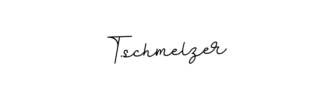 Make a beautiful signature design for name T.schmelzer. With this signature (BallpointsItalic-DORy9) style, you can create a handwritten signature for free. T.schmelzer signature style 11 images and pictures png