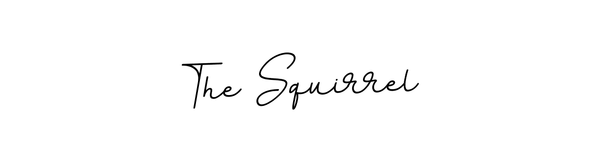 Create a beautiful signature design for name The Squirrel. With this signature (BallpointsItalic-DORy9) fonts, you can make a handwritten signature for free. The Squirrel signature style 11 images and pictures png