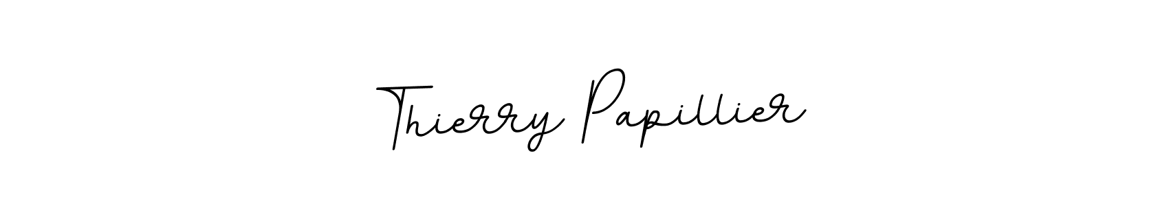 Make a beautiful signature design for name Thierry Papillier. With this signature (BallpointsItalic-DORy9) style, you can create a handwritten signature for free. Thierry Papillier signature style 11 images and pictures png
