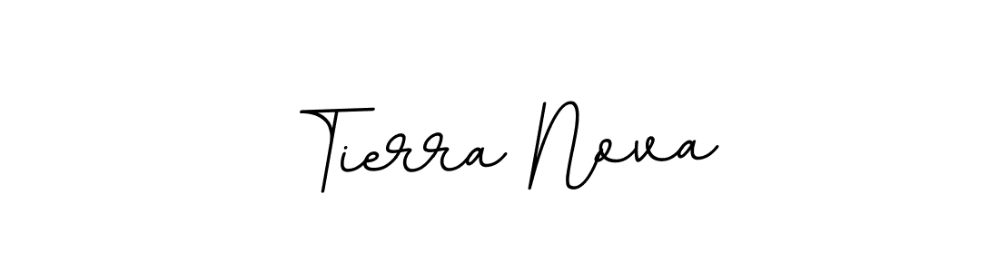 Make a short Tierra Nova signature style. Manage your documents anywhere anytime using BallpointsItalic-DORy9. Create and add eSignatures, submit forms, share and send files easily. Tierra Nova signature style 11 images and pictures png