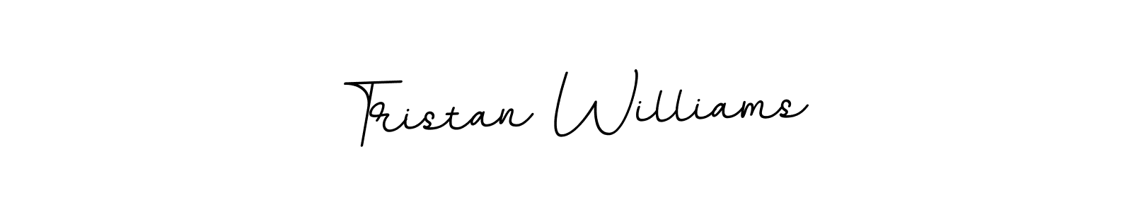 How to make Tristan Williams signature? BallpointsItalic-DORy9 is a professional autograph style. Create handwritten signature for Tristan Williams name. Tristan Williams signature style 11 images and pictures png