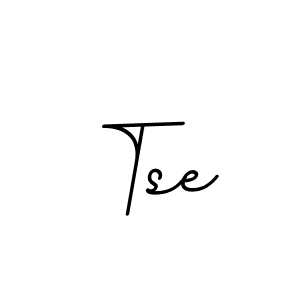 Tse stylish signature style. Best Handwritten Sign (BallpointsItalic-DORy9) for my name. Handwritten Signature Collection Ideas for my name Tse. Tse signature style 11 images and pictures png