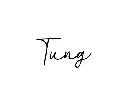 Create a beautiful signature design for name Tung. With this signature (BallpointsItalic-DORy9) fonts, you can make a handwritten signature for free. Tung signature style 11 images and pictures png