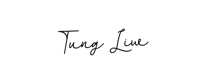 Design your own signature with our free online signature maker. With this signature software, you can create a handwritten (BallpointsItalic-DORy9) signature for name Tung Liw. Tung Liw signature style 11 images and pictures png