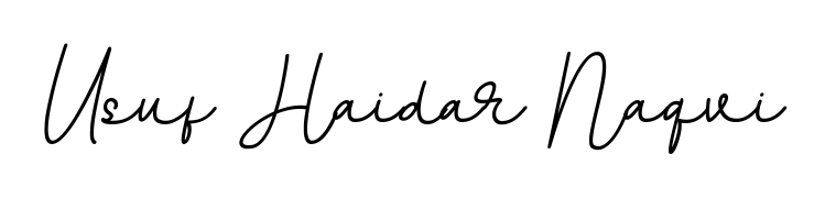 Create a beautiful signature design for name Usuf Haidar Naqvi. With this signature (BallpointsItalic-DORy9) fonts, you can make a handwritten signature for free. Usuf Haidar Naqvi signature style 11 images and pictures png