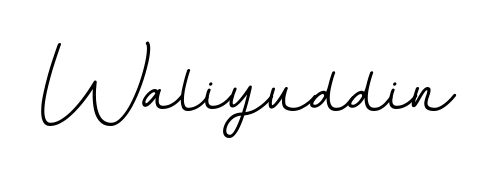 Also we have Waliyuddin name is the best signature style. Create professional handwritten signature collection using BallpointsItalic-DORy9 autograph style. Waliyuddin signature style 11 images and pictures png