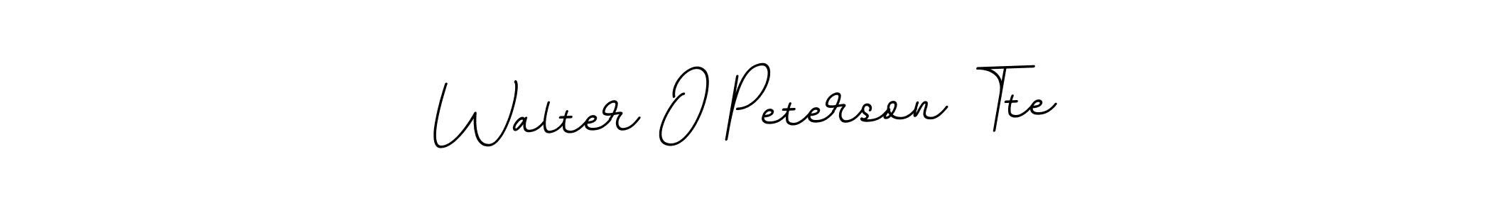 You should practise on your own different ways (BallpointsItalic-DORy9) to write your name (Walter O Peterson Tte) in signature. don't let someone else do it for you. Walter O Peterson Tte signature style 11 images and pictures png