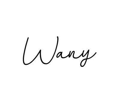 Make a beautiful signature design for name Wany. With this signature (BallpointsItalic-DORy9) style, you can create a handwritten signature for free. Wany signature style 11 images and pictures png