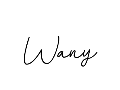 Make a beautiful signature design for name Wany. With this signature (BallpointsItalic-DORy9) style, you can create a handwritten signature for free. Wany signature style 11 images and pictures png