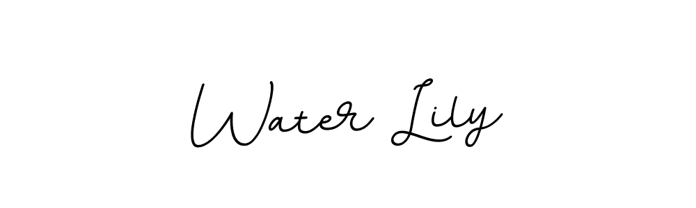 You should practise on your own different ways (BallpointsItalic-DORy9) to write your name (Water Lily) in signature. don't let someone else do it for you. Water Lily signature style 11 images and pictures png