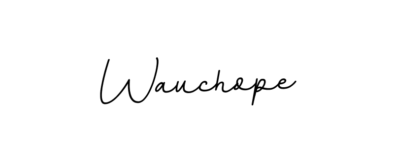 Design your own signature with our free online signature maker. With this signature software, you can create a handwritten (BallpointsItalic-DORy9) signature for name Wauchope. Wauchope signature style 11 images and pictures png