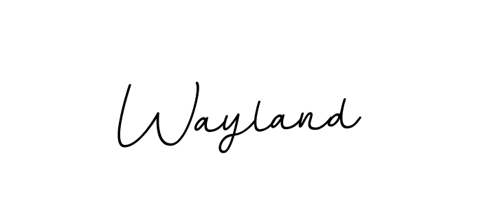 You should practise on your own different ways (BallpointsItalic-DORy9) to write your name (Wayland) in signature. don't let someone else do it for you. Wayland signature style 11 images and pictures png